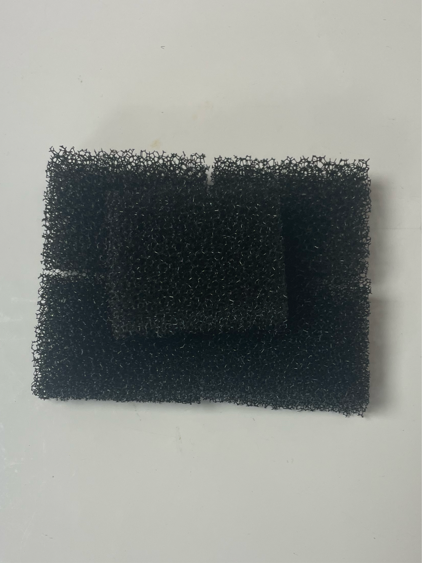 Small Black Stipple Sponge